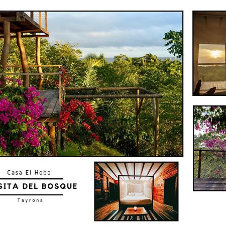 Willa La Casita Del Bosque Santa Marta  Zewnętrze zdjęcie