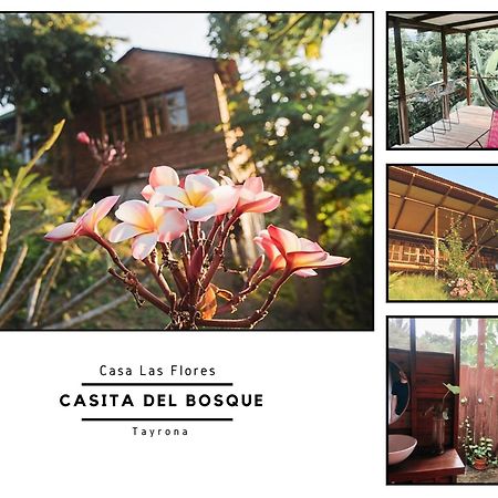 Willa La Casita Del Bosque Santa Marta  Zewnętrze zdjęcie