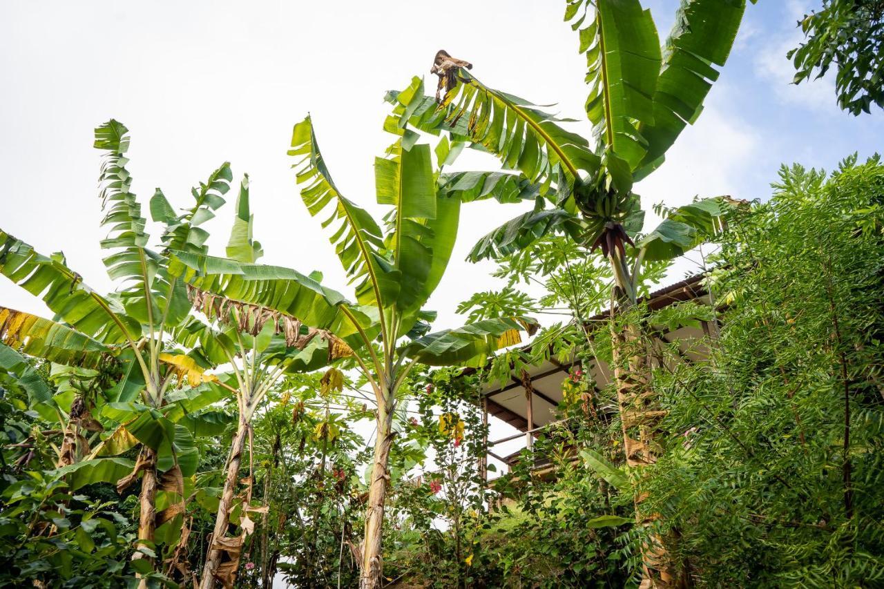 Willa La Casita Del Bosque Santa Marta  Zewnętrze zdjęcie