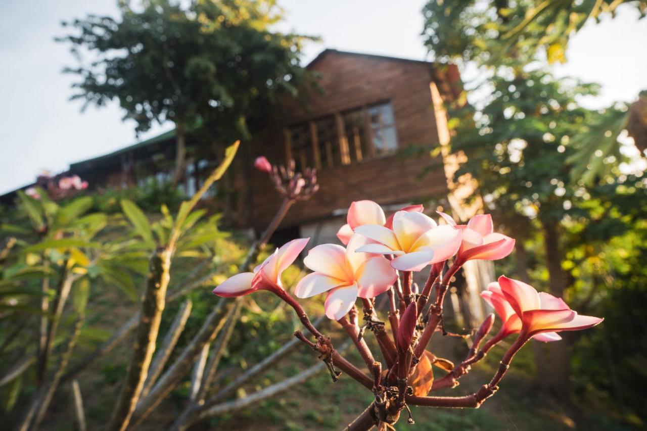 Willa La Casita Del Bosque Santa Marta  Zewnętrze zdjęcie